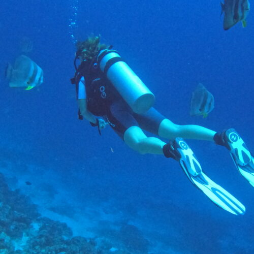 Baa Atoll Diving