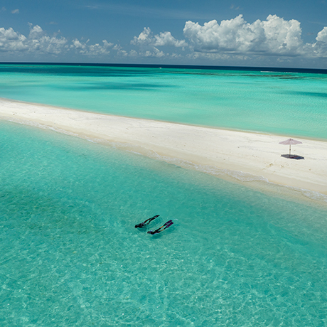 Arial shot of a couple snorkeling by a sandbank in the crystal clear waters of Kamadhoo, Maldives.