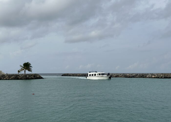 IMG_1742 IMG_1742